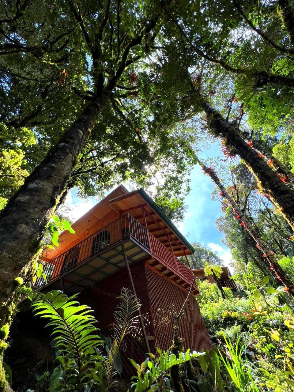 Cabana Anturios San José Exterior foto